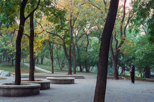 Comparatif sites de chanvre : lequel choisir pour passer vos commandes ?