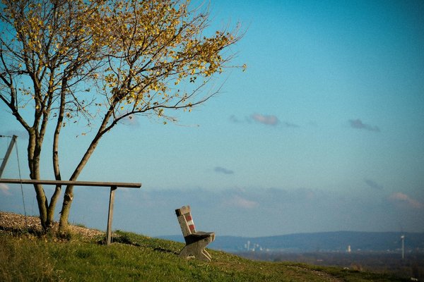 Quels sont les avantages des cours de cuisine végétarienne pour les seniors ?